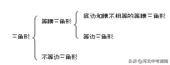 初二数学第八章分式,初二上册数学三角形第11章