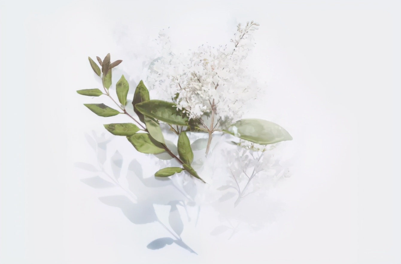 最好的生活态度就是顺其自然,顺其自然是对生活最好的选择