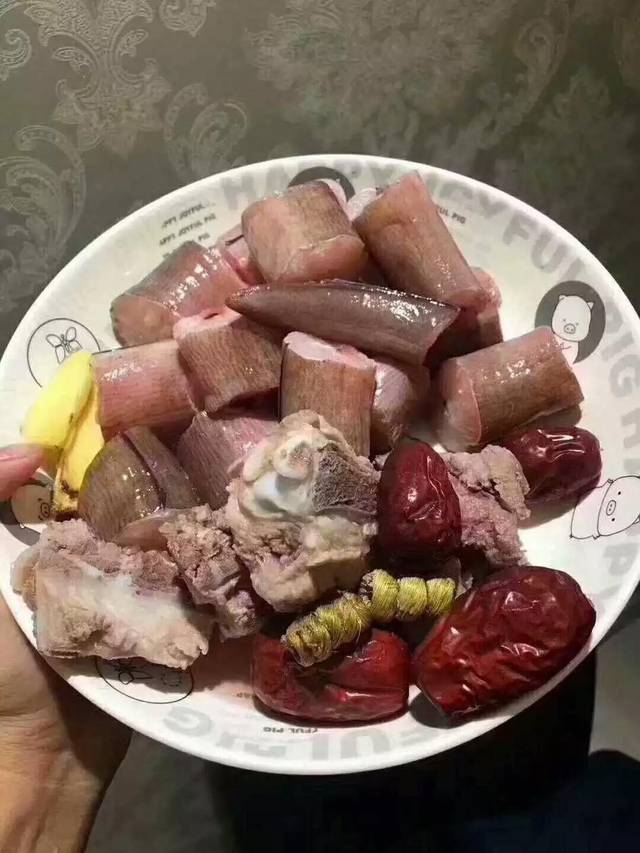 土龙是什么动物,土龙是什么意思