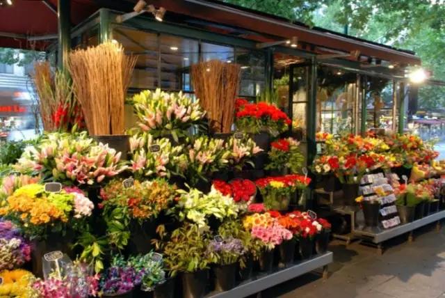 怎么开花店最赚钱,开花店初期创业真实经历