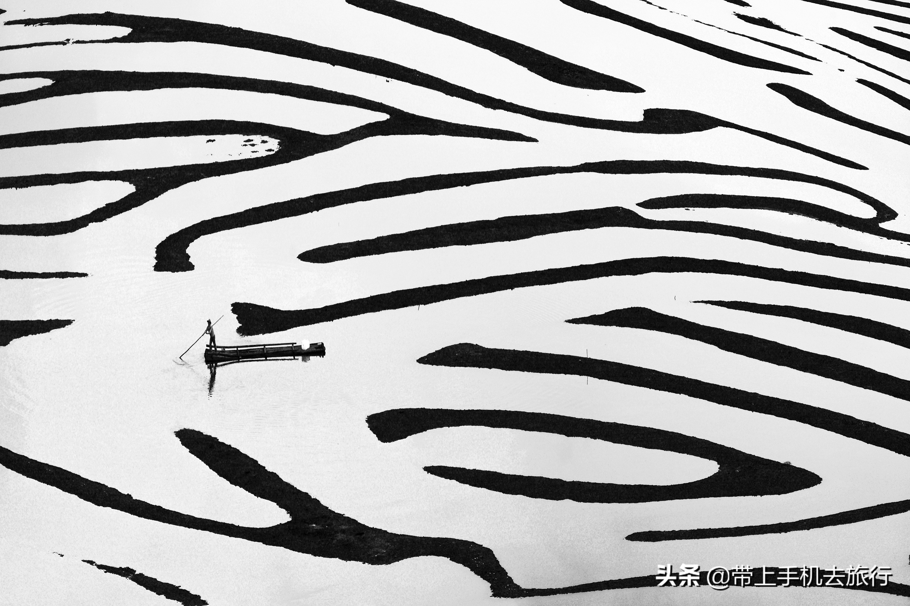 黑白效果合适什么照片,怎样才能够拍成黑白照片