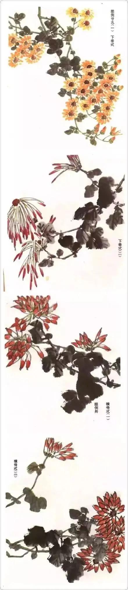 各种花卉的画法大全图片,各种花卉画法步骤图