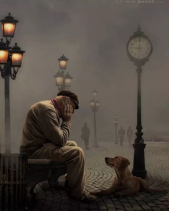 手机相册整理软件,如何整理苹果手机的相册