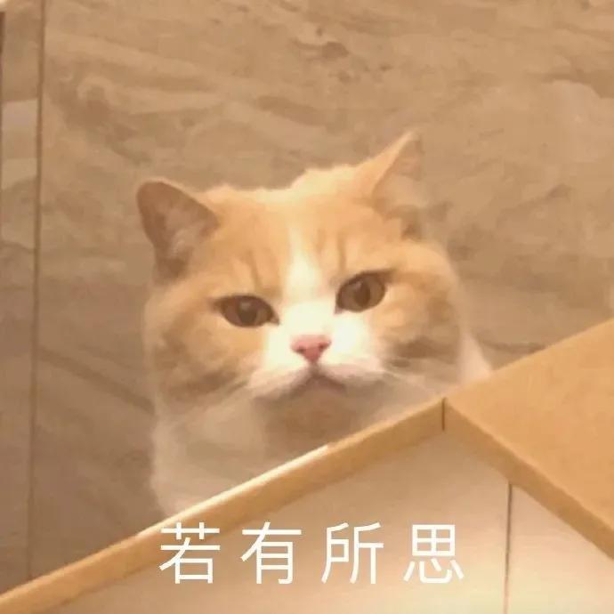 挂科对专升本有影响吗天津,挂科对专升本有影响吗湖北