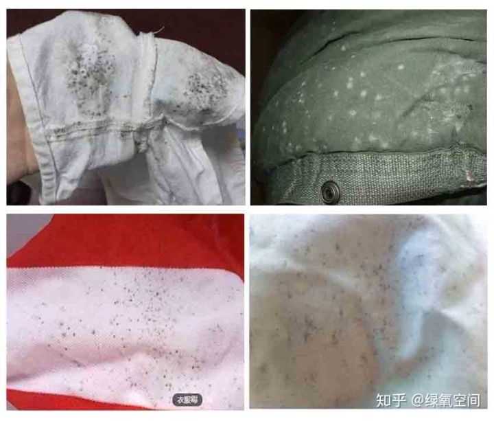 衣服上长霉渍,衣服上长霉点是怎么回事