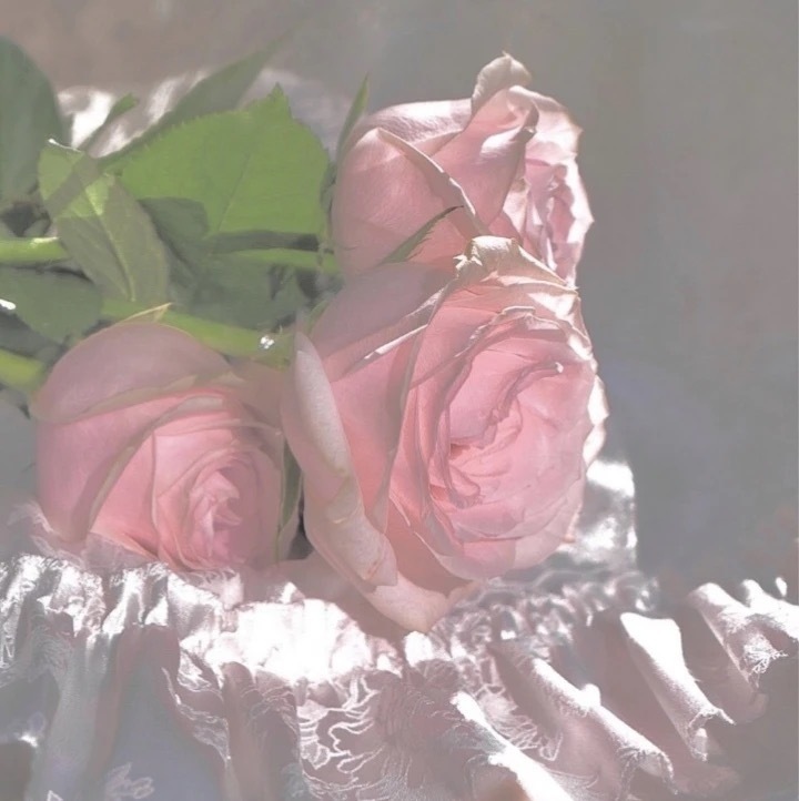 朋友圈背景图风景干净治愈,朋友圈背景图温柔