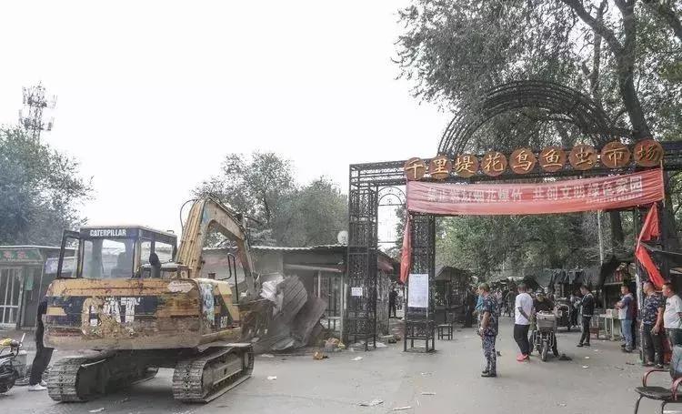 即将消失的花鸟鱼虫市场,天津消失的鱼虫市场