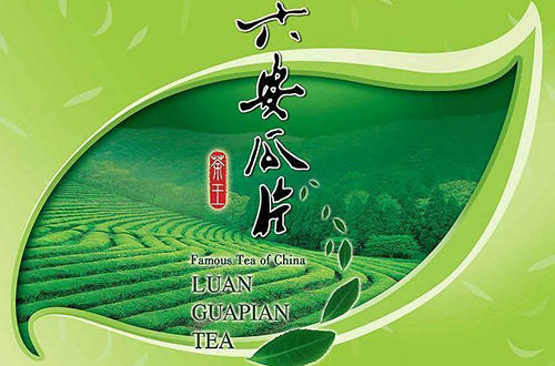 中国十大名茶六安瓜片产地,六安瓜片中国十大名茶之一