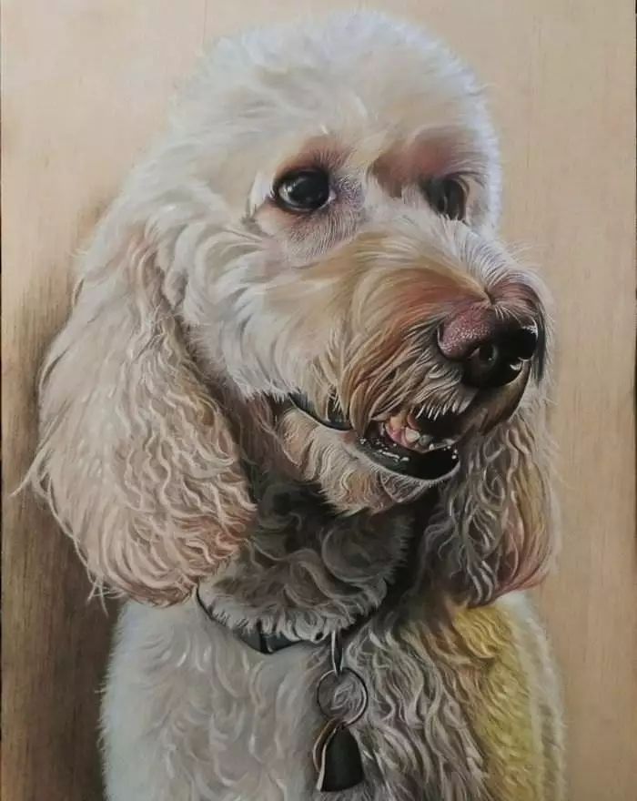 3d立体画写实彩铅,超写实彩铅手绘细腻的让人咋舌