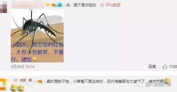 李维嘉为啥不结婚,李维嘉结婚了没