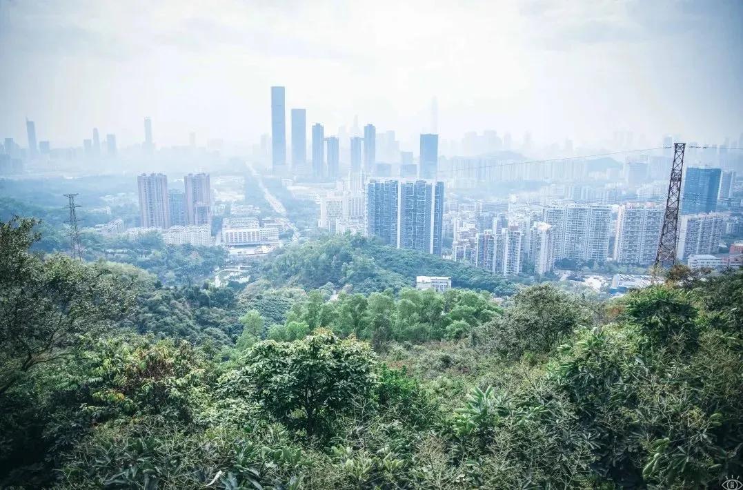 4号线值得逛的地方,9号线有什么地方能够玩