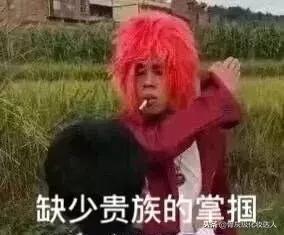 拔草清单｜看看是哪些不好用的家伙伤害了我的钱包！