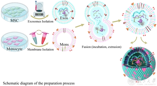 中山大学附属三院干细胞,中山附属一院干细胞治疗
