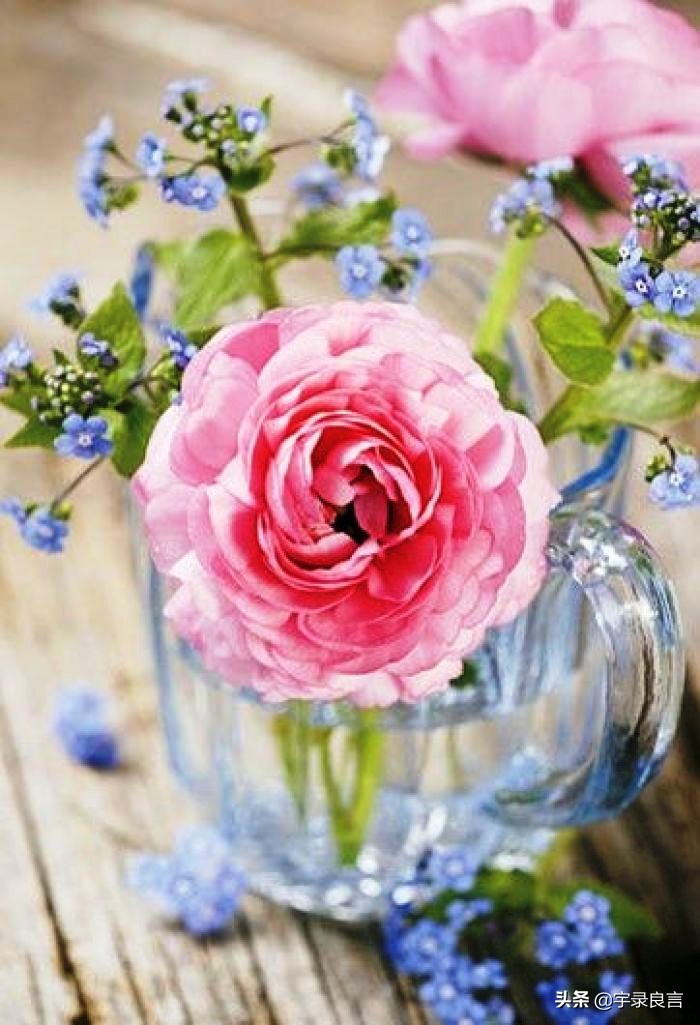 禅意感悟人生的经典句子,禅意人生感悟语录