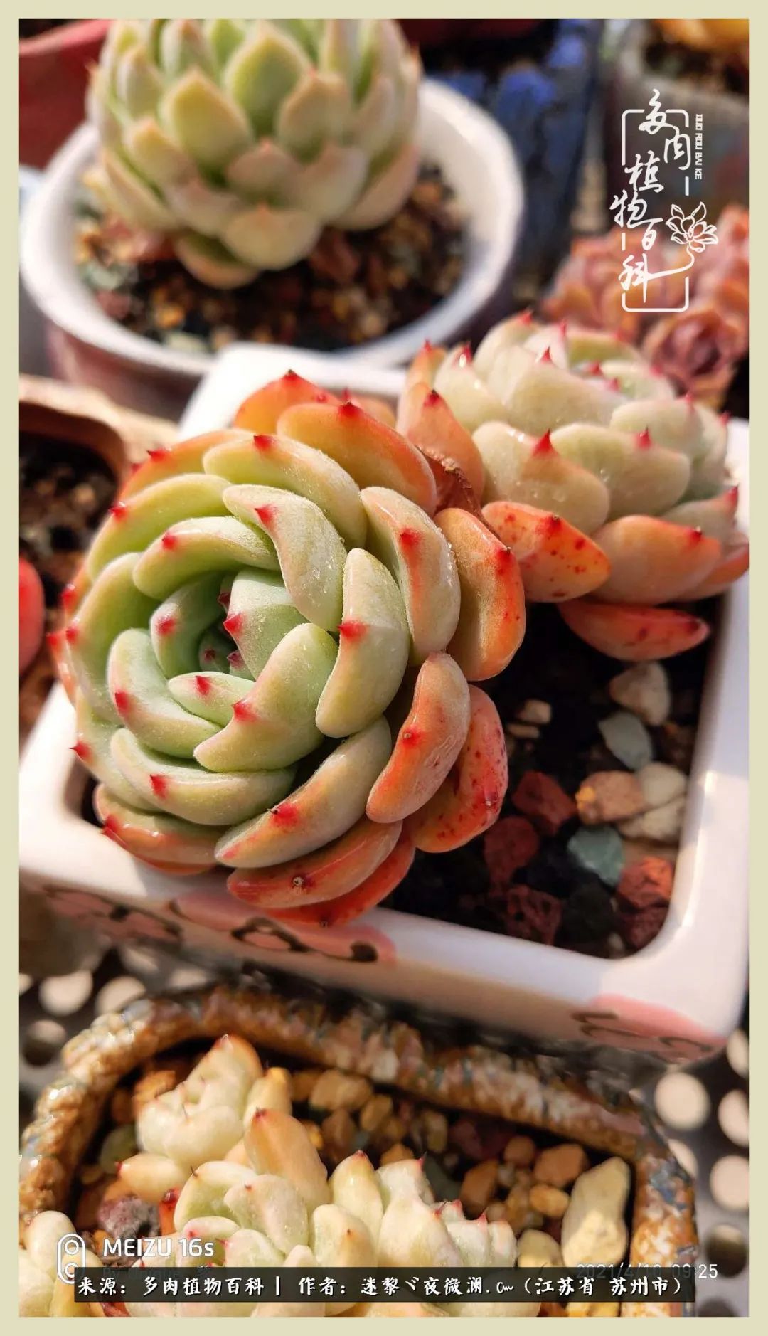 秋尽冬来岁月不居时节如流,岁月不居时节如流水