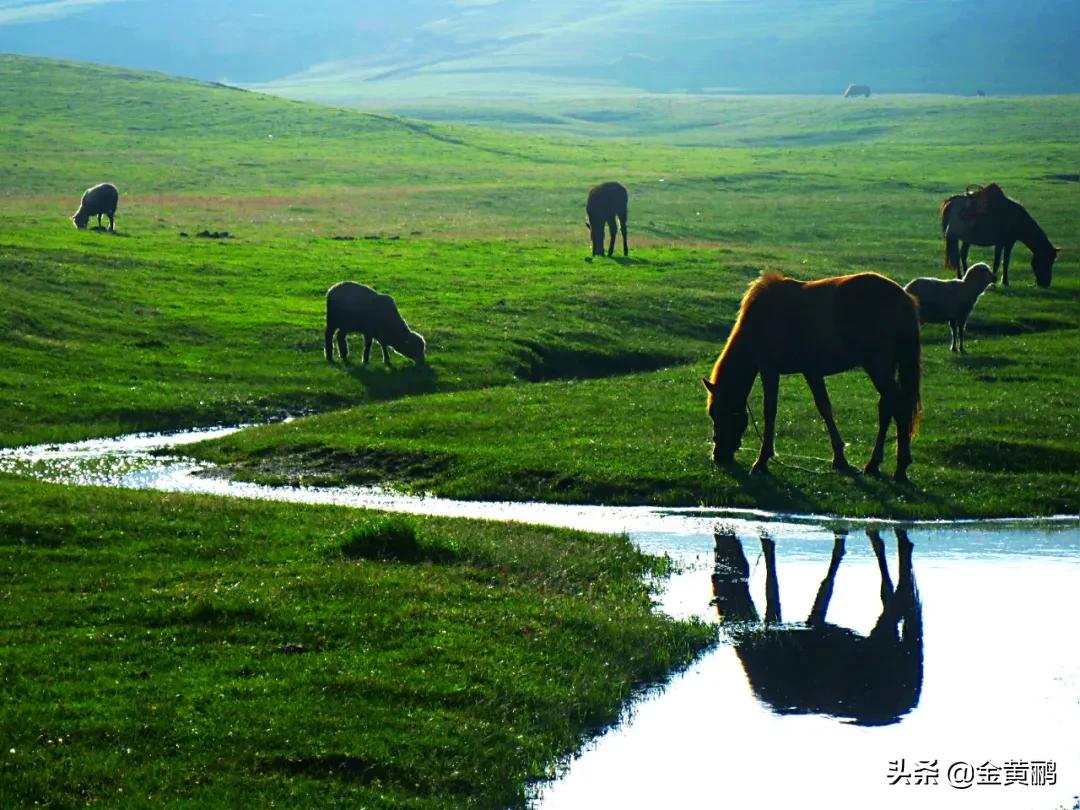 为什么云南女人长相好看,云南真的很漂亮吗
