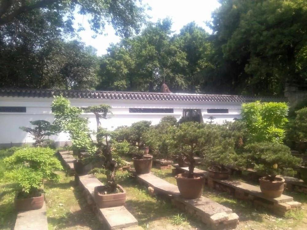 楚风汉韵景点有哪些,徐州楚风汉韵旅游攻略