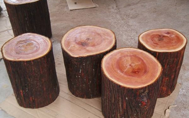 这种植物不但能够吃，车的珠子竟然能够和上等红木媲美