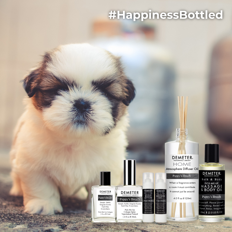 气味图书馆算是什么档次的香水,气味图书馆哪款香水值得入