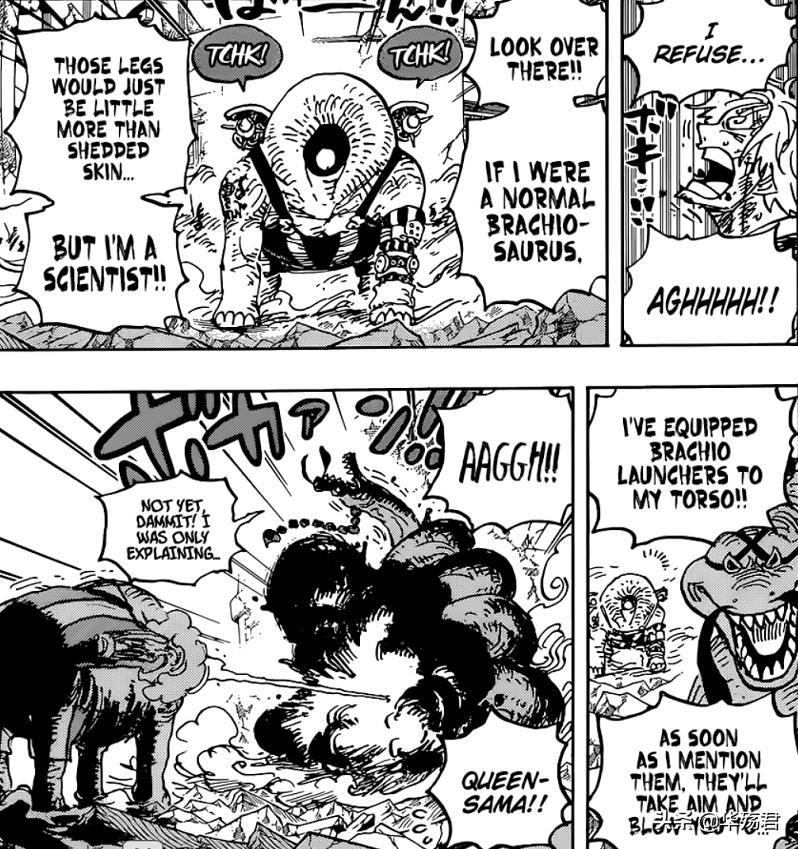 奎因最强操作视频,奎因骚操作