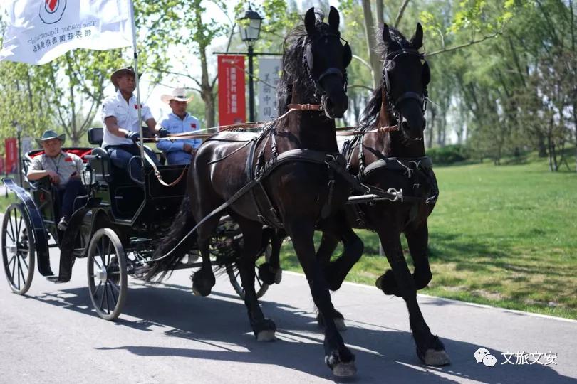 河北文安鲁能生态城,鲁能生态园文安宣传片