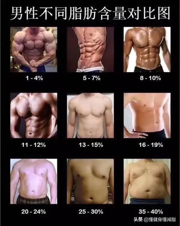 最全腹肌训练图解腹肌就该这么练,腹肌和深层腹肌的锻炼方法