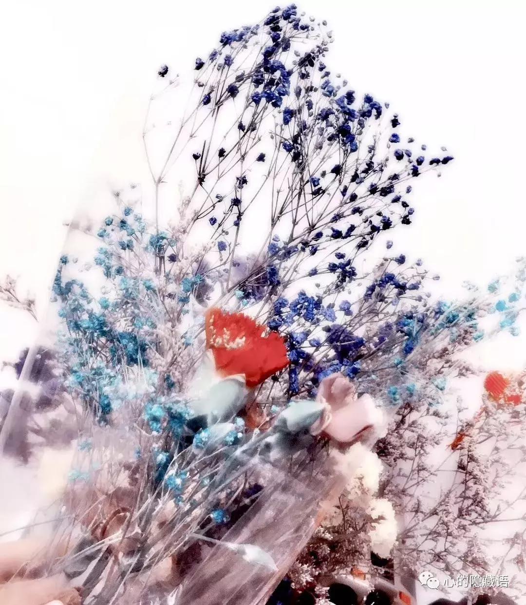 渡人如渡己渡己也是渡人,渡人渡己还是渡己渡人