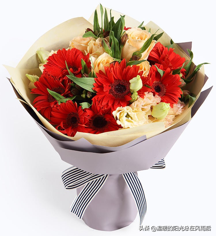 教师节送老师花还是送巧克力好,教师节小朋友送老师什么花最好