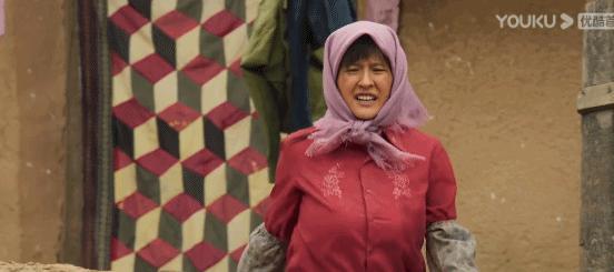 如何评价山海情这部电视剧,评分高的国产剧山海情