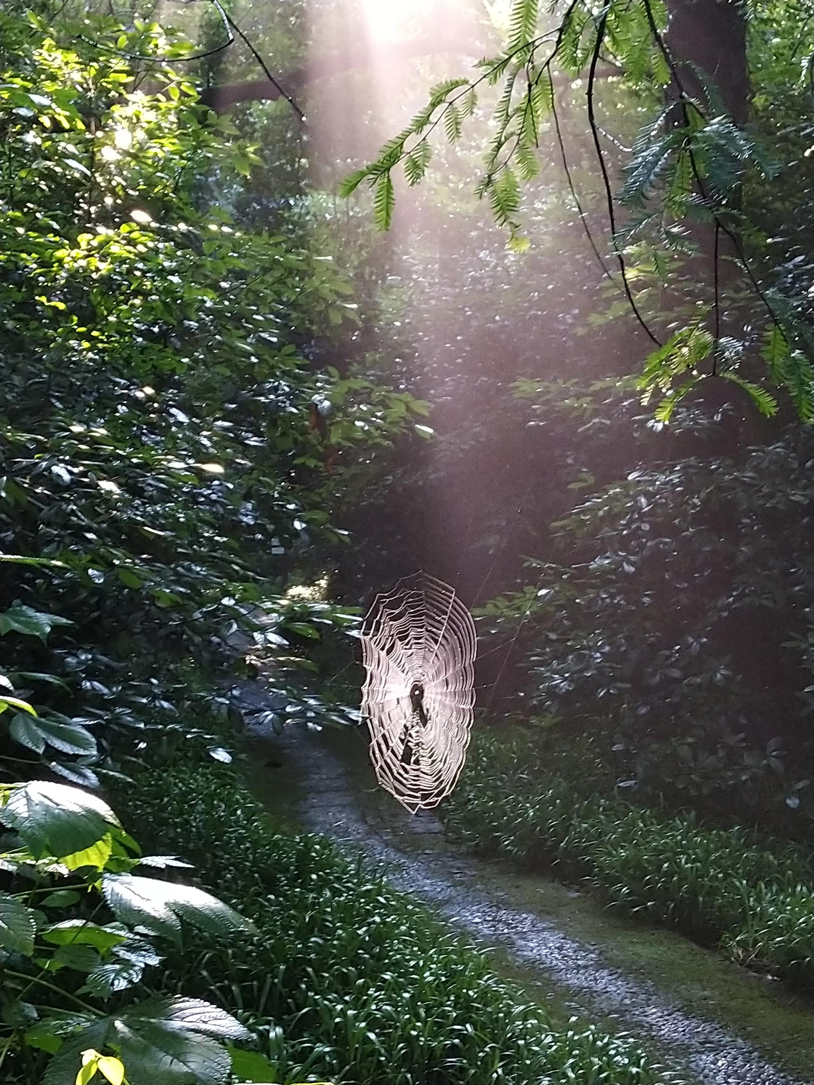 发现大自然的美的文章500字,发现大自然的美一篇文章