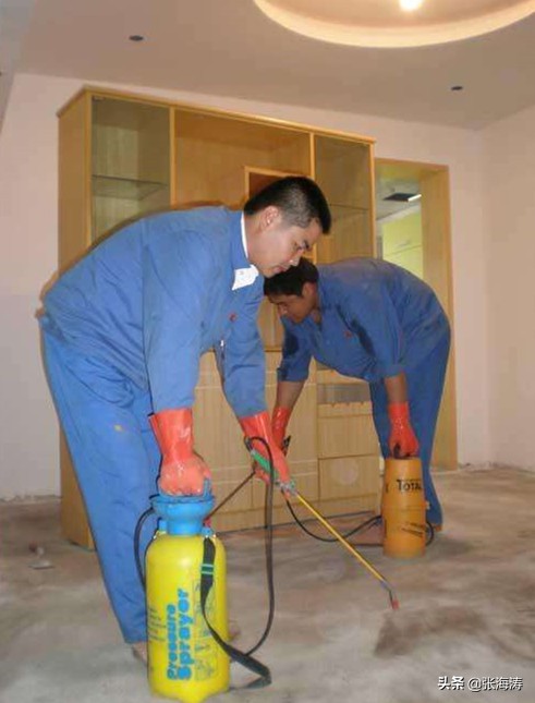 白蚁防治知识大全,海南长时间不住如何防治白蚁