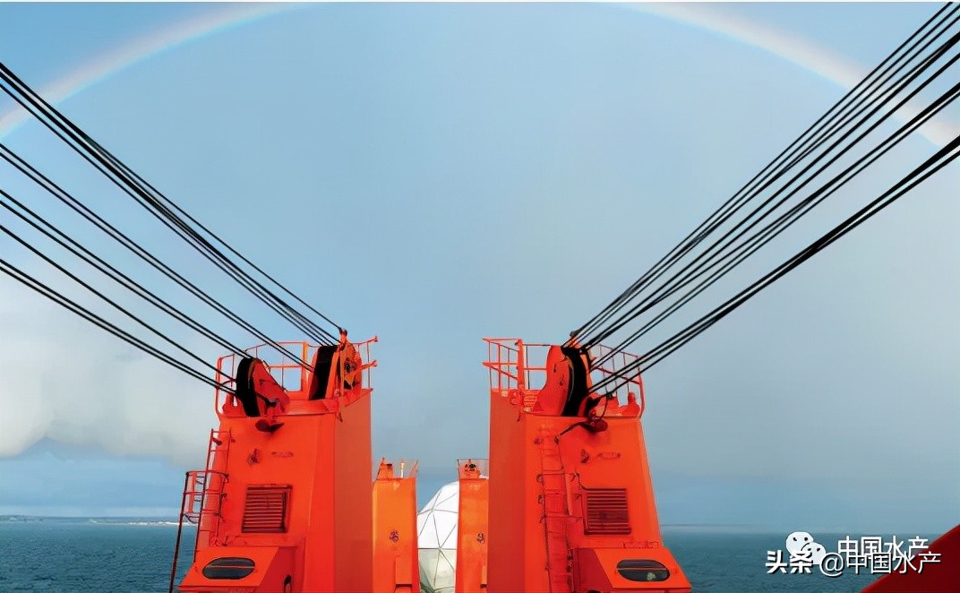 涉外法治人才培育方面,涉外法治人才培养工作方案