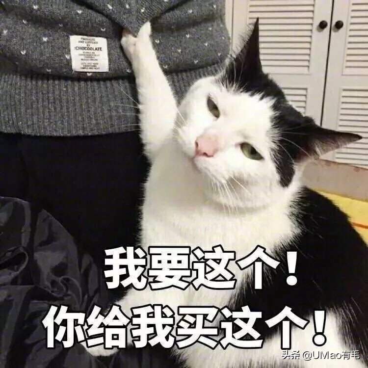 李佳琦叫卖都不管用！双十一猫咪用品这些坑得避