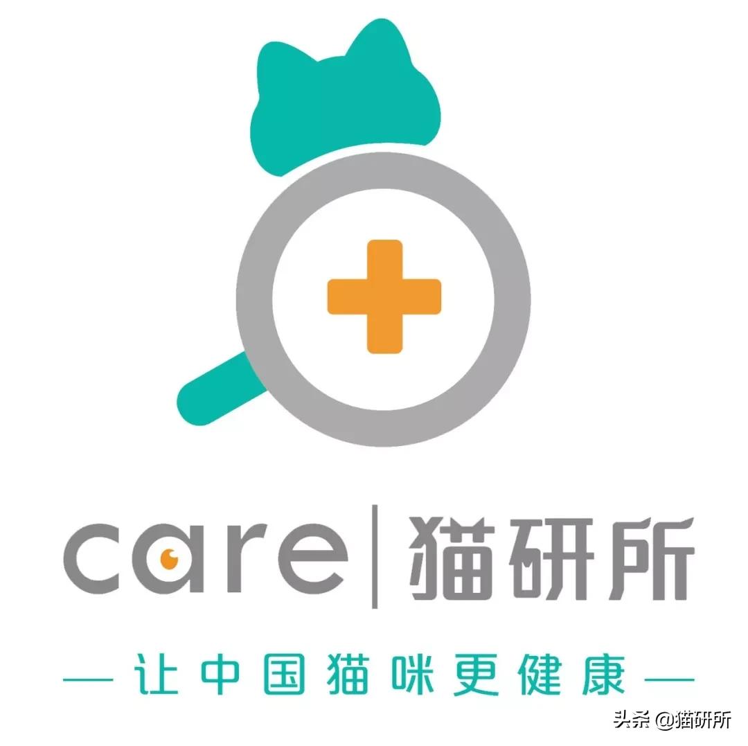 养猫怎么防止猫咪跑丢,猫咪走丢3招快速找回