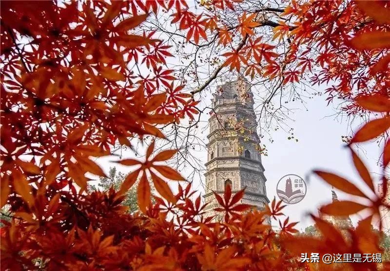 无锡秋游胜地最全推荐,无锡秋游自驾绝佳去处