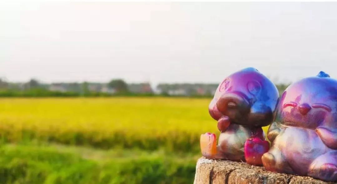 LJK特邀嘉宾｜韩鹏：有梦想的小鸡