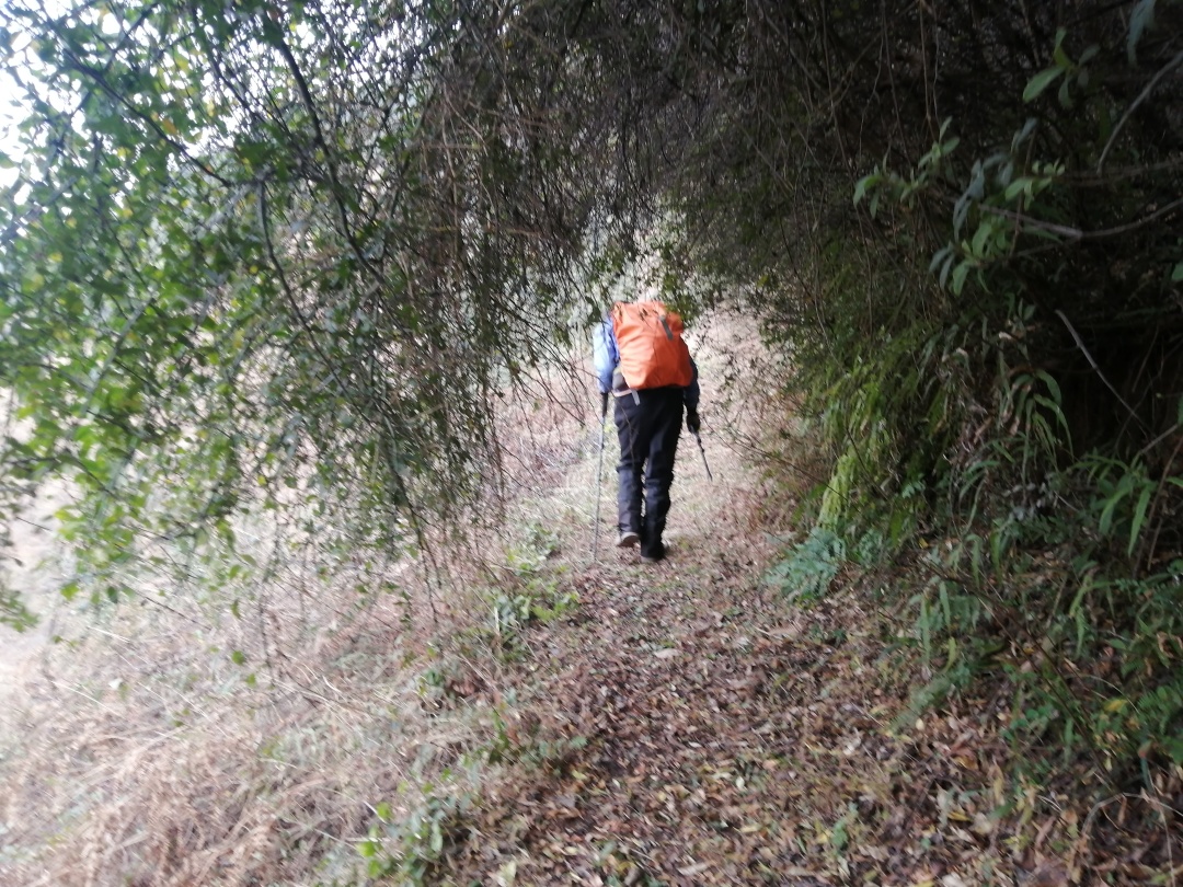 龙洞探秘寻找地下暗河,八面山龙洞地下暗河