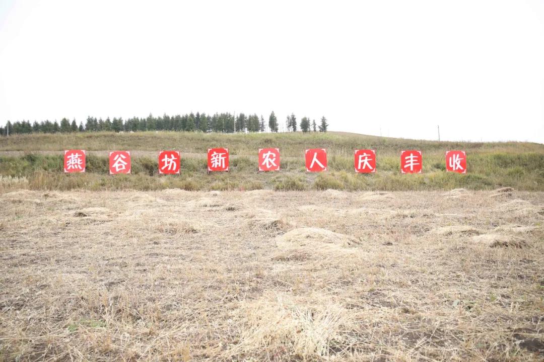 第三届中国农民丰收节汝南,益阳市第三届中国农民丰收节举行