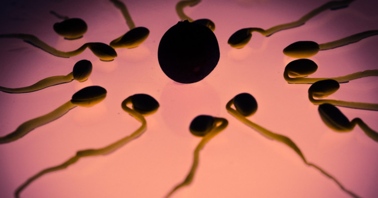 非激素类男用避孕药,男性避孕药对身体有副功能吗