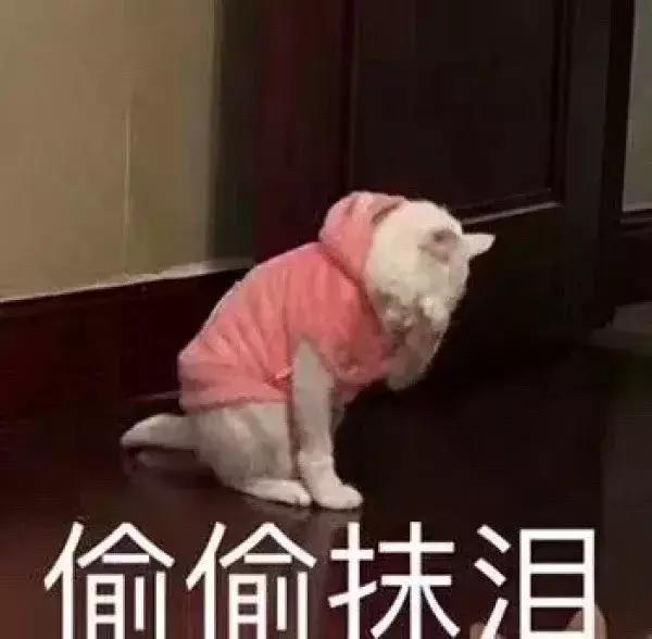 片单|谁说国产没好片，99%的人被这7部骗到最后一秒