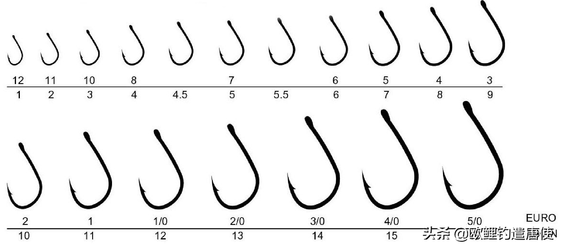 钓鱼也是一种技术,科学钓鱼的基本原理
