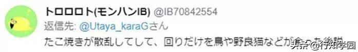 日本网友突遇“章鱼*弹炸**”引在线网友激情推理，这脑洞服了