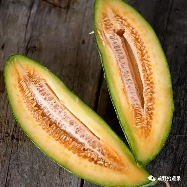 四川合适种植哈密瓜甜瓜品种,甜瓜种植技术新疆哈密瓜