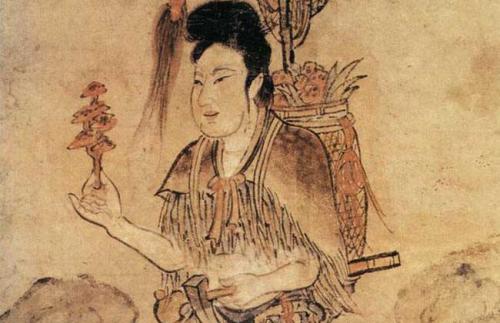 神农尝百草告诉我们的道理20字,神农尝百草故事说明什么道理