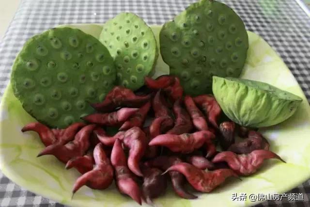 花好月圆中秋快乐视频,花好月圆中秋快乐毛笔字