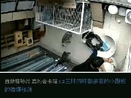 有陪智能猫砂盆真实测评,半封闭全自动猫砂盆测评