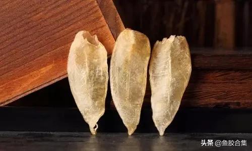花胶一共有几种类型的品种,花胶种类中哪种最好