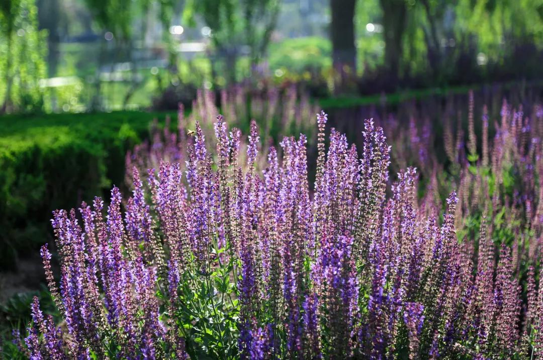 济南踏青旅游攻略,济南哪里的温泉合适带孩子去的