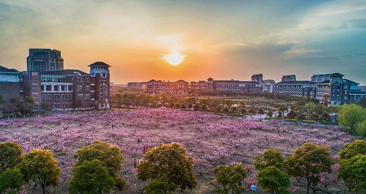 上海海洋大学在全国海洋高校排名,中国最好十所海洋大学