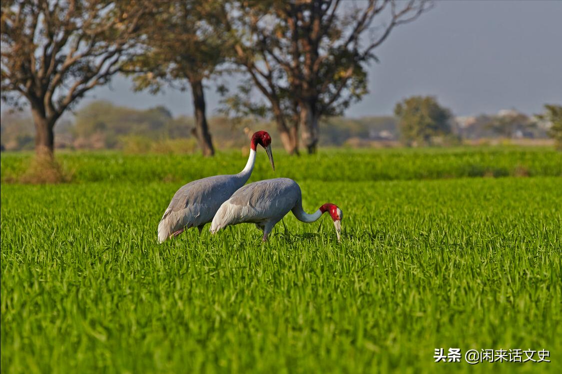 王维三首最精彩的五绝山水诗,王维的诗词最好的十首及推荐理由